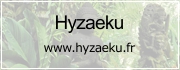Le site de l'association Hyzaeku